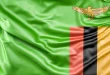 Zambia bayrağı görsel
