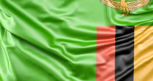 Zambia bayrağı görsel