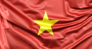 Vietnam Bayrağı Görseli